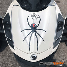 Widow-Maker Spider kit