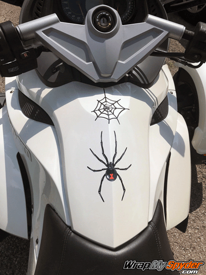 Widow-Maker spider kit includes spiders and webs