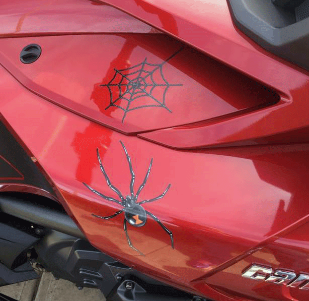 Widow-maker-spider-and-web