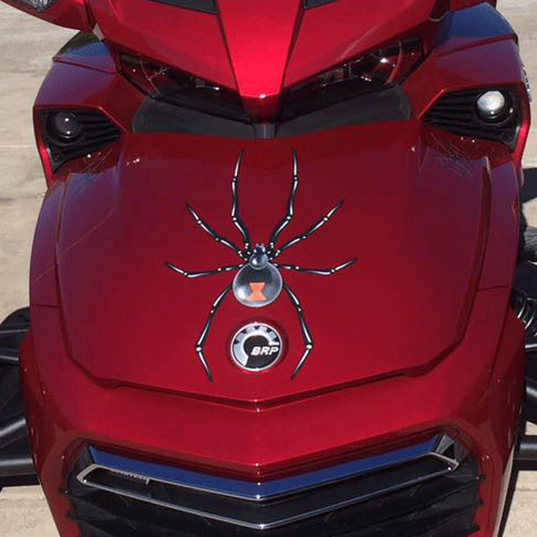 Widow-maker-spider-reflective