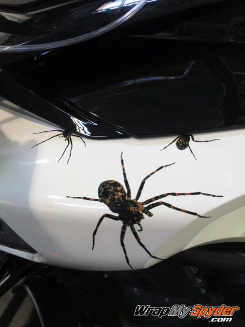 Wolf Spider Left side panel