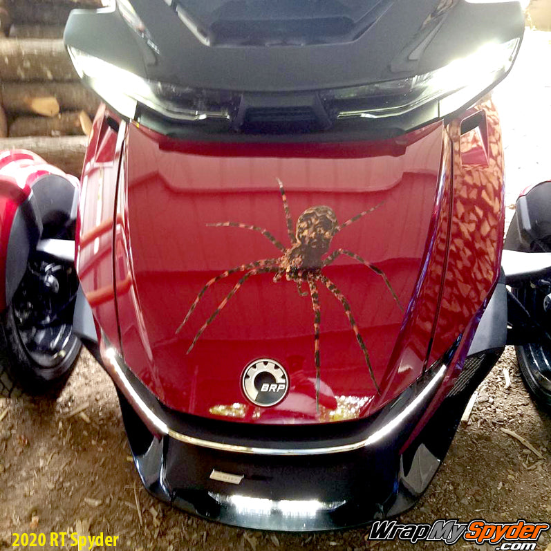 Wolf Spider wrap mounted on 2020 Spyder RT