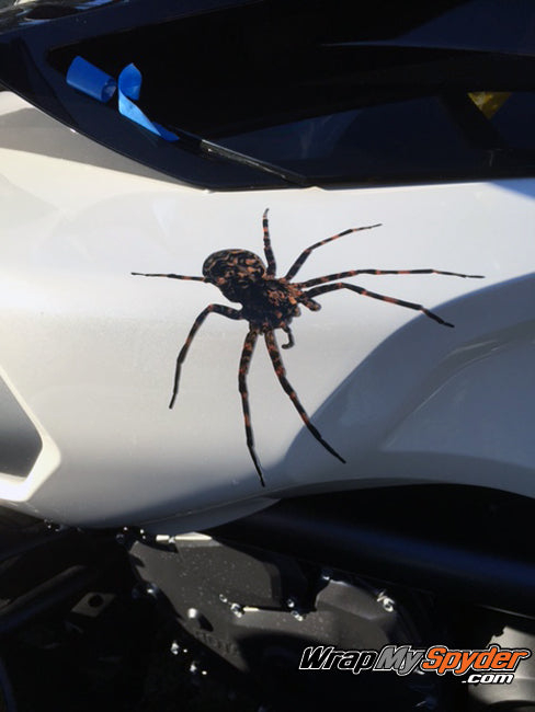 Wolf Spider side panel decal