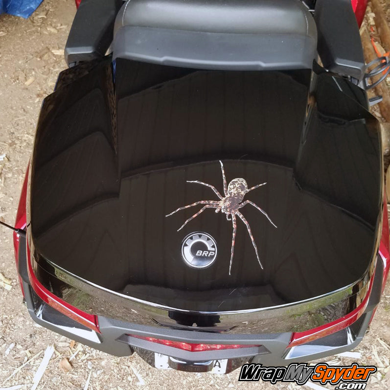 Wolf Spider mounted on 2020 BRP Spyder RT Tour Pack Top Case