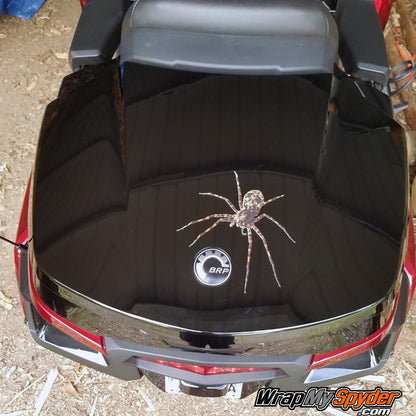 Wolf Spider mounted on 2020 BRP Spyder RT Tour Pack Top Case