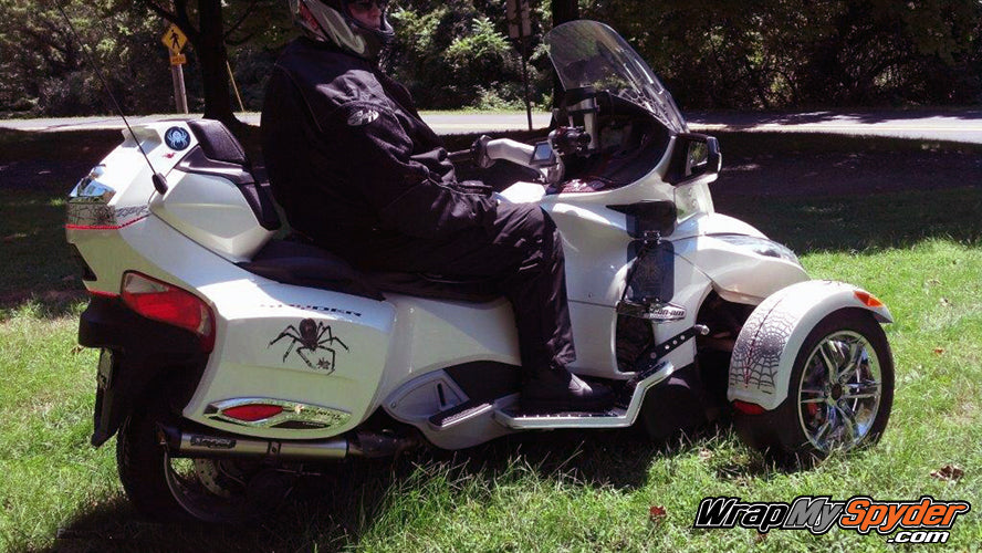 Body Panel Insert Kit - Woody Web