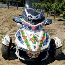 Tropical Spyder flowers kit