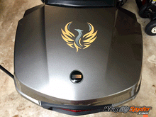 Phoenix Copper mounted on F3 top case reflective
