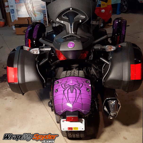 Spidy on Web Purple rear-fender