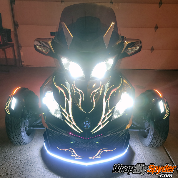 reflcetive-barbwire-lightning-pink-and-bellerdine-spiders-and-web