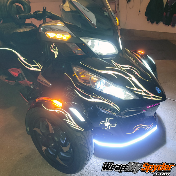 reflcetive-barbwire-lightning-pink-and-bellerdine-spiders