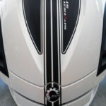 Cheak Frunk Insert in carbon fiber