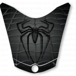Gray Spidy on Web