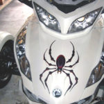 Bellerdine Spider Red-Black