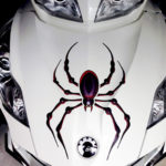 Bellerdine Spider in Black- red combo