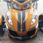RT-GT Racing Stripes textured Carbon Fiber