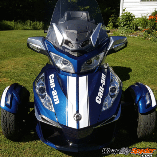 RT-GT Racing Stripes - White