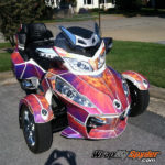 C-buck Spyder RT full body wrap
