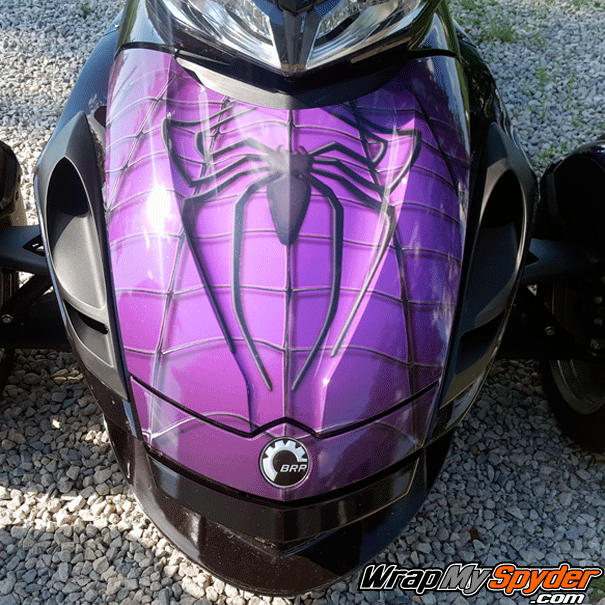 Purple-Spidy-on-web