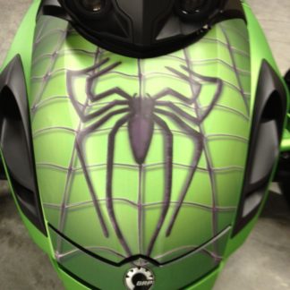 spidy-on-web-green-rs-