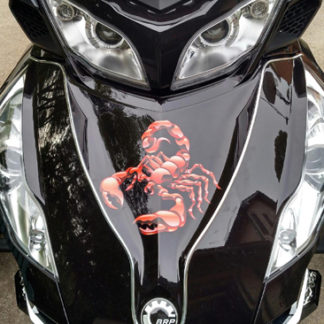 Red Scorpion