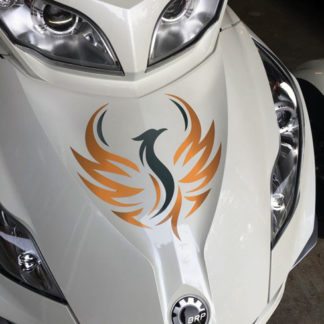 Phoenix Graphics Kit