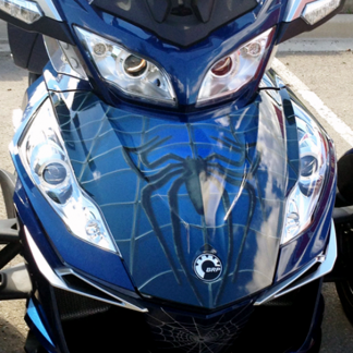 Spidy-on-Web-Blue-frunk