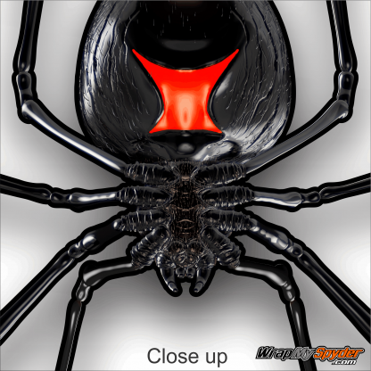 Black Widow creeper high definition decal kit for Can-am Spyders