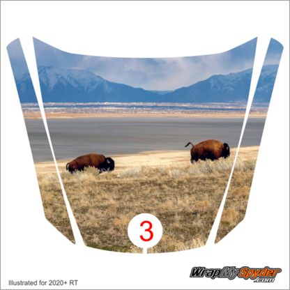 #3 Two Buffalo frunk wra